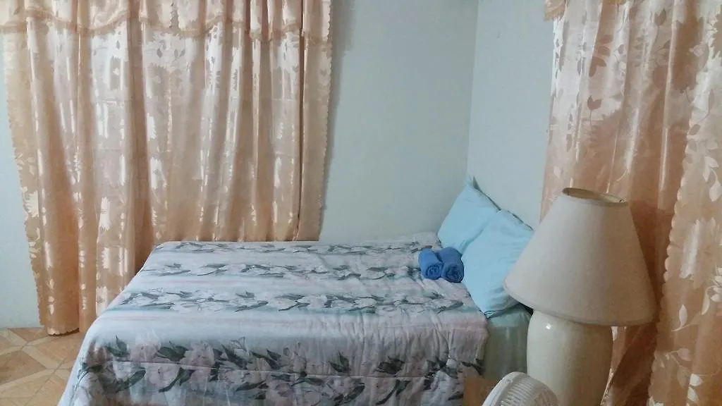 Walsh'S Guesthouse 基督教堂市