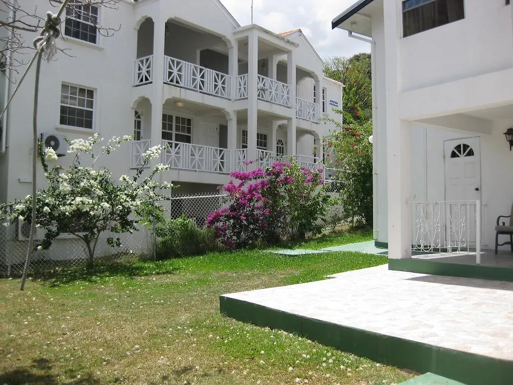 Walsh'S Guesthouse 基督教堂市 公寓
