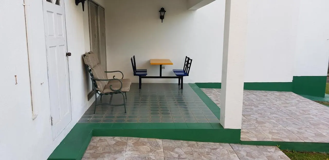 Walsh'S Guesthouse 基督教堂市 公寓
