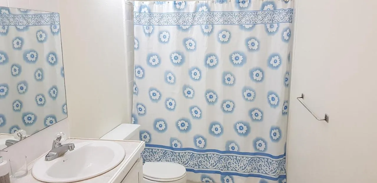 Walsh'S Guesthouse 基督教堂市 公寓