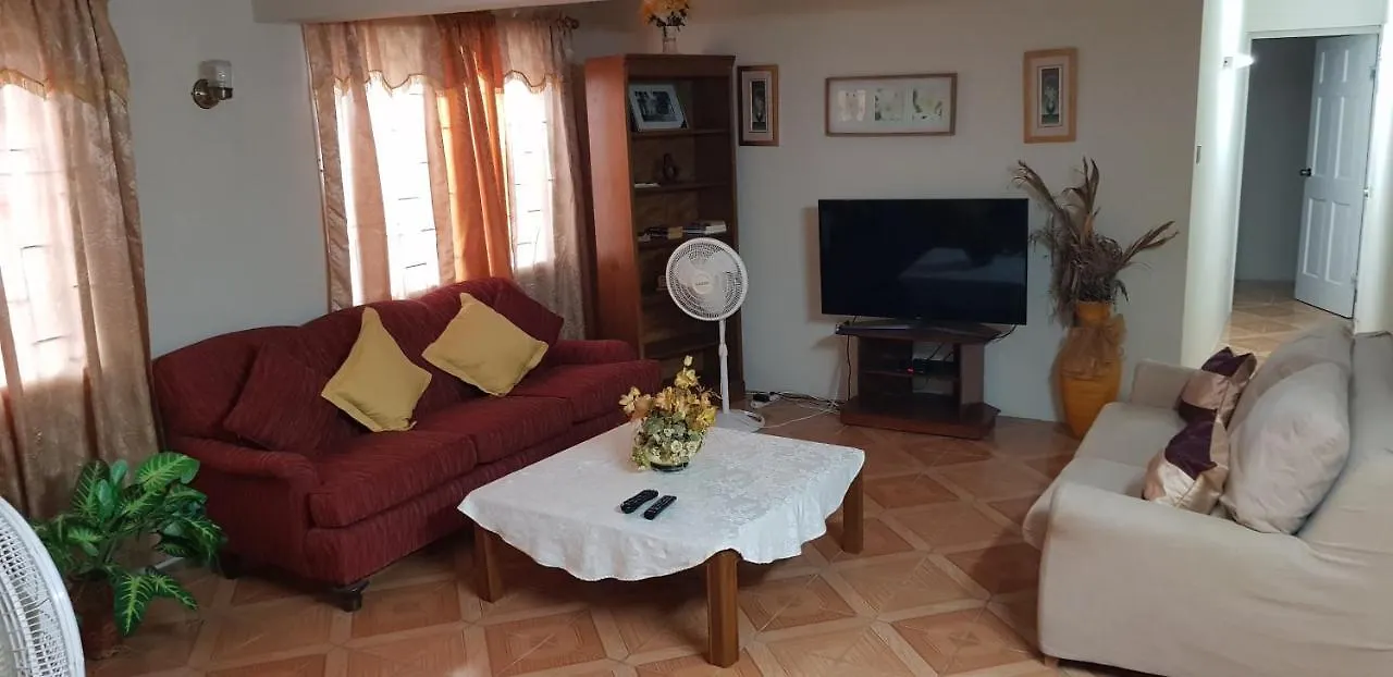 Walsh'S Guesthouse 基督教堂市