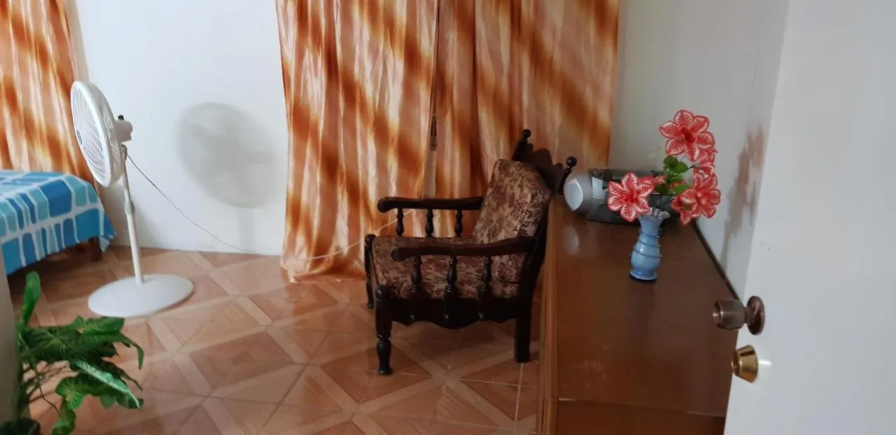 公寓 Walsh'S Guesthouse 基督教堂市